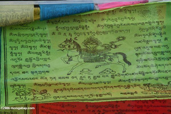 Nahaufnahme einer modernen tibetanischen Gebetmarkierungsfahne