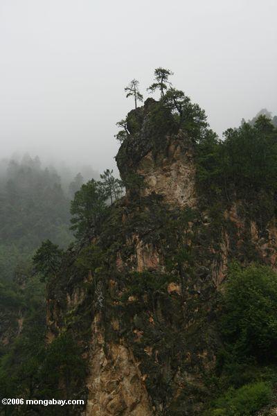 Bewaldeter Felsen, der in Yunnan tibetanisches