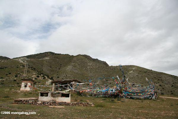 Gebetmarkierungsfahnen an einem buddhistischen Schrein in der nordwestlichen Yunnan Provinz