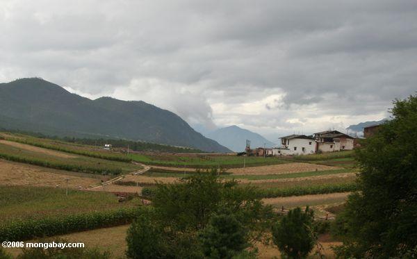 Tibetanischer Bauernhof bringt