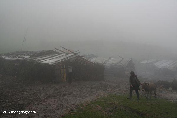 густой туман в деревне в тибетской провинции Юньнань