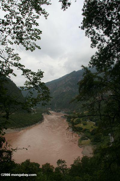 Верхняя Янцзы, глядя upriver, определяется деревья