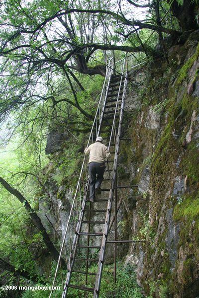 восхождение по лестнице достичь водопада в провинции Юньнань