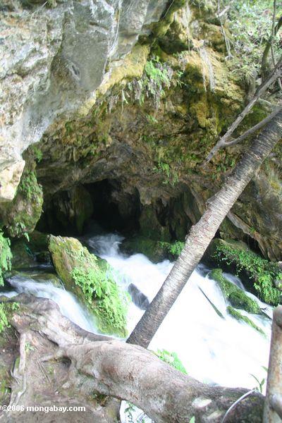 Водопад, выходящих из пещеры