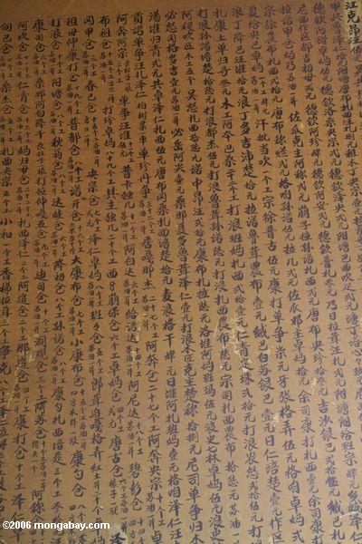 Tibetanische Gebete geschrieben auf eine Wand in chinesisches