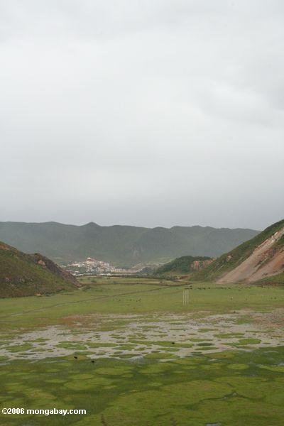затопленных лугов с sumtsanlang монастыря в расстоянии