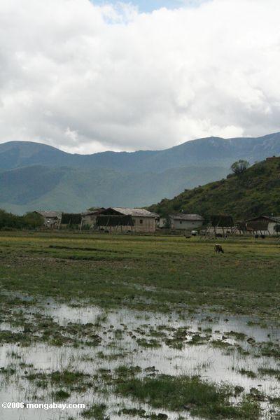 Dorf nahe einer überschwemmten Weide 