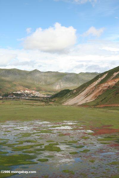Überschwemmte Weide mit Shangri-La im Hintergrund