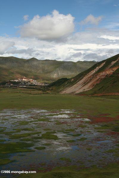 Mit Zhongdian im Hintergrund tibetanisches