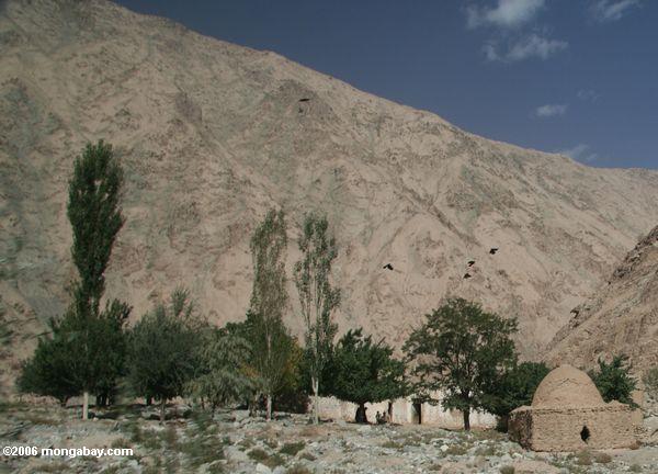 Túmulos de Tajik