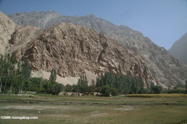 Таджикский деревне