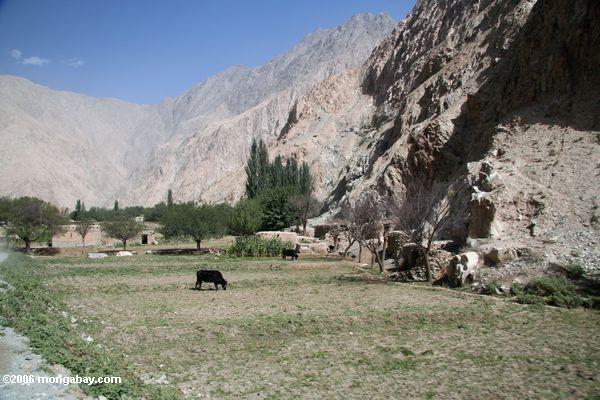 Таджикский деревне в долине на пути к Датун