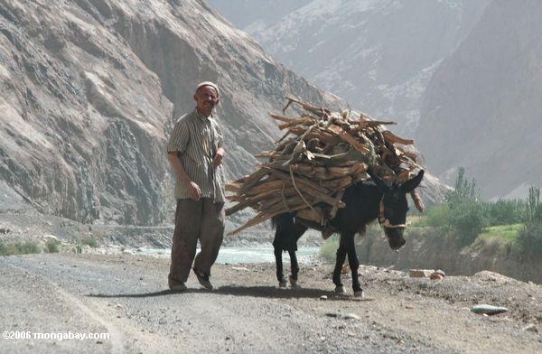 Die Kreuzung einer Straße mit einem Esel Xinjiang