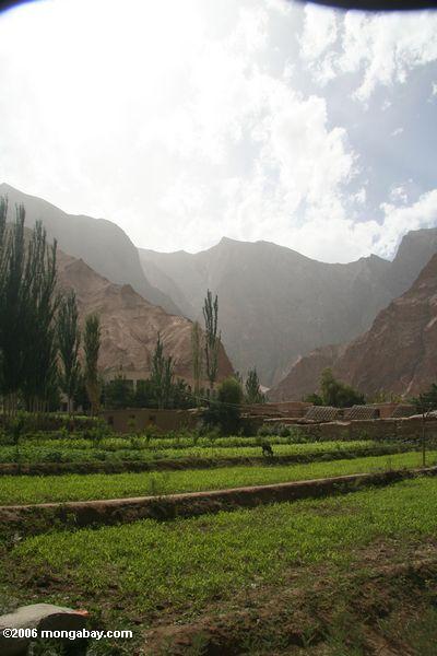 Landwirtschaftlich im Datong Dorf Xinjiang