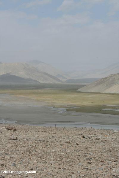 Grassland molhado em um vale elevado da montanha ao longo da estrada de Karakoram