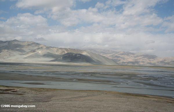 Berge nähern sich einem hohen Aufzug-Sumpfgebiet in Xinjiang