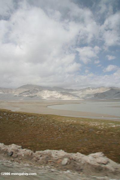 Hohes Aufzug-Sumpfgebiet nahe der Karakoram Landstraße