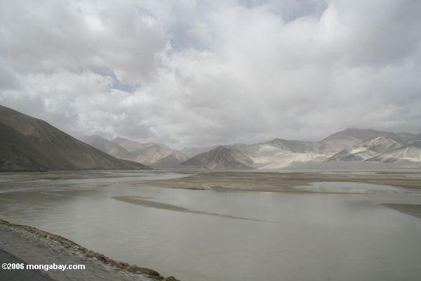 Sumpfgebiet in einem Durchlauf in den Pamir Bergen