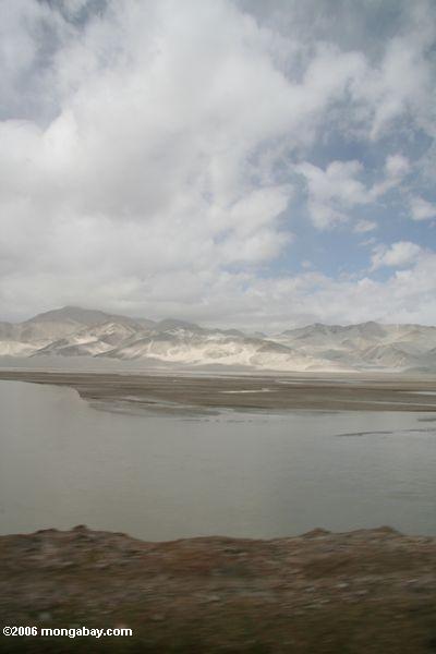Sumpfgebiet in einem Pamir Gebirgsdurchlauf
