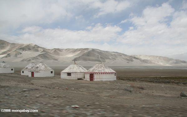 Yurts modernos ao longo da estrada de Karakoram em China ocidental