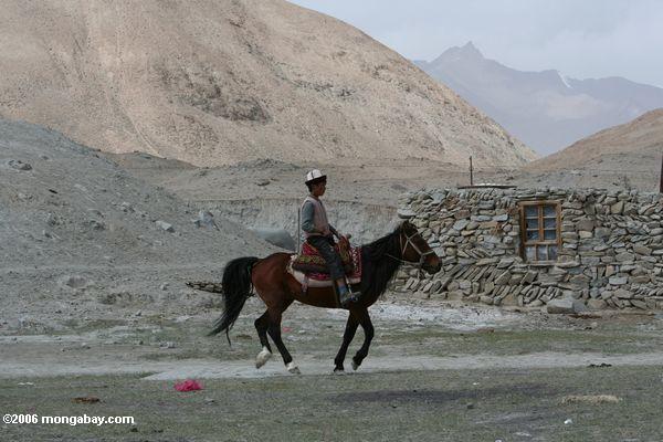 Tajik auf zu Pferde