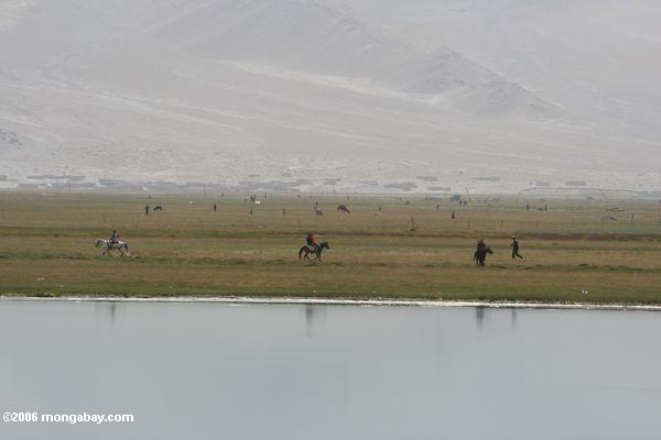 Таджикский ковбои по травянистой равнине