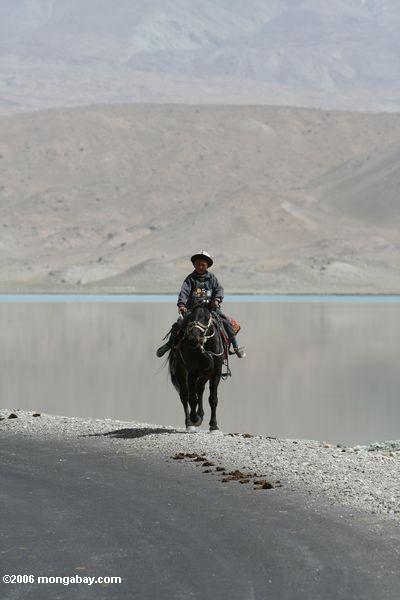 Tajik Cowboy