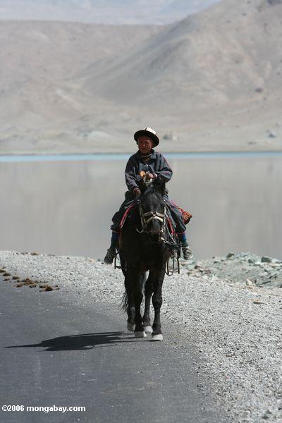 Таджикский ковбой