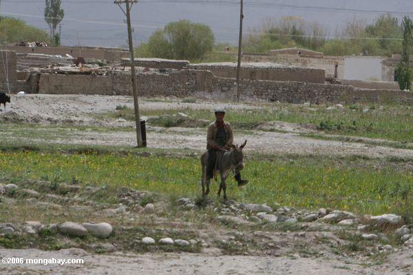 Tajik Mann, der einen Esel Xinjiang