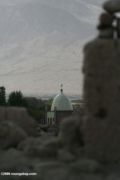 Мечеть недалеко tashkurgan форт
