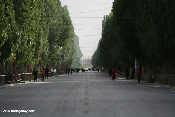 Главная улица в tashkurgan