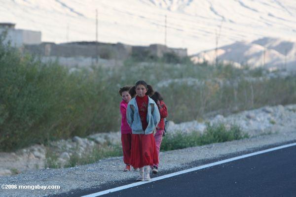 Zicklein, die zur Schule entlang der Karakoram Landstraße Xinjiang