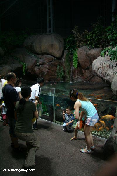 Besucher am Shanghai Aquarium