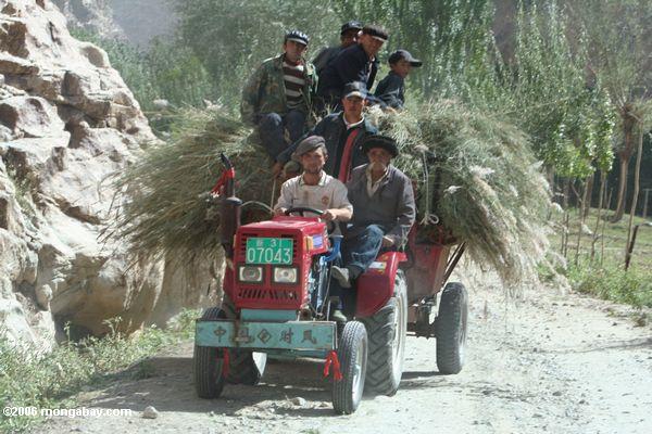 Gruppe von Tajiks einen Heu-gefüllten Traktor Xinjiang