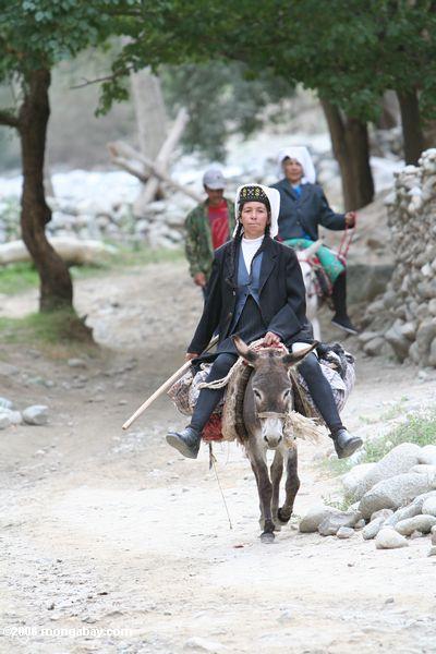 Frau, die einen Esel Xinjiang