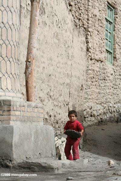 Мальчик в красном, перевозящих сушеного коровьего навоза риса