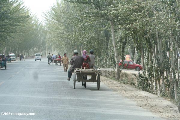 Estrada através de uma cidade do oasis perto de Yarkand
