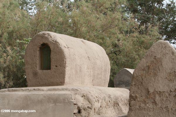 Уйгурский гробницы в yarkand
