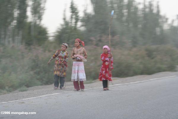 Miúdos do Uighur que andam em uma estrada