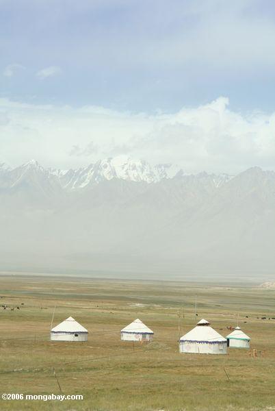 Yurts auf einer Ebene