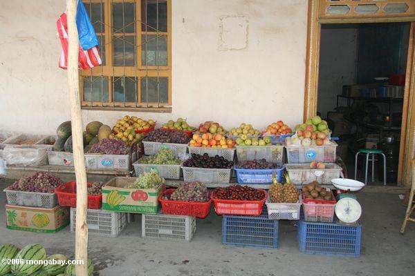 Fruchtstandplatz in Xinjiang