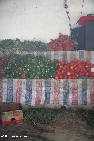 Tomatos e pimentas do pimentão em Tashkurgan