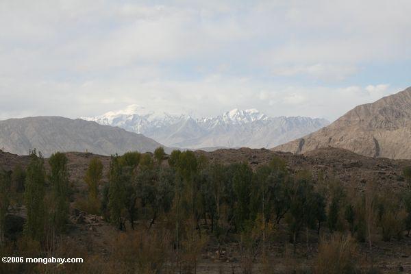 заснеженные горы возле tashkurgan
