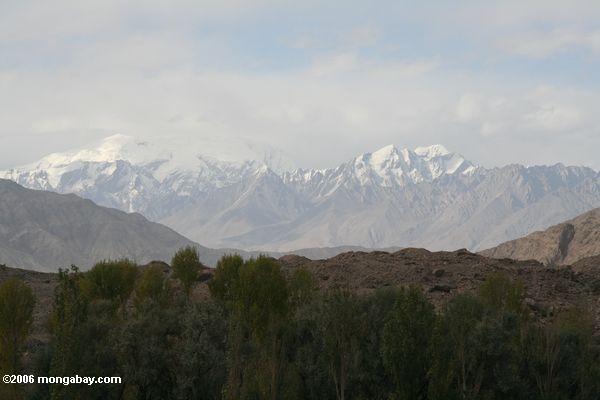 os picos Neve-tampados aproximam Tashkurgan