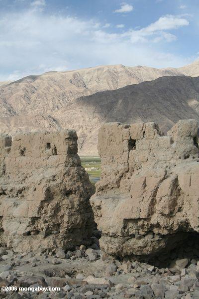 на стене разрушенного замка tashkurgan