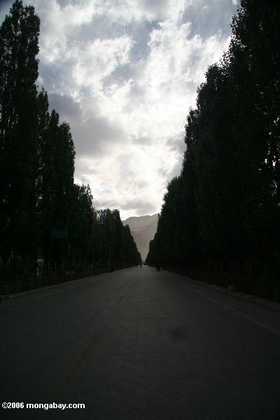 улица в tashkorgan