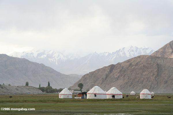 Yurts mit Pamir Bergen im Hintergrund