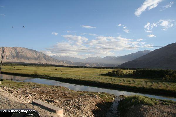 полей вблизи tashkurgan - видно из Каракорума шоссе