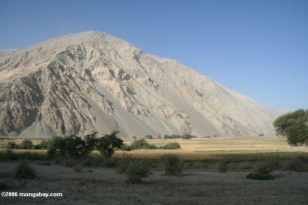 Berg nahe dem Tajikistan Rand