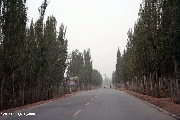 Straße, die aus Kashgar in Richtung zur Karakoram Landstraße Xinjiang